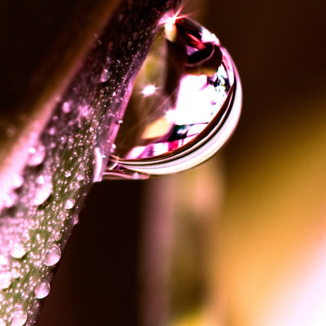 Water Drops On Leaf Macro iPad wallpaper 