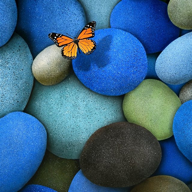 Lonely Butterfly iPad wallpaper 