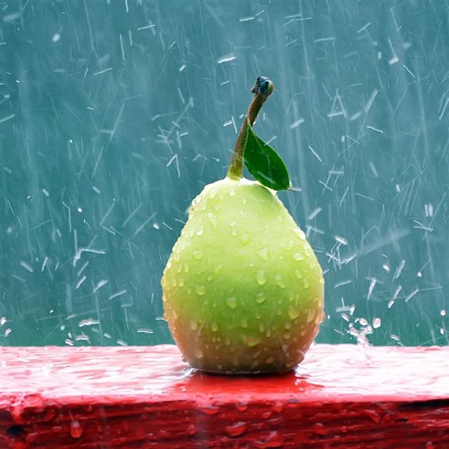 Green Pear In The Rain iPad wallpaper 