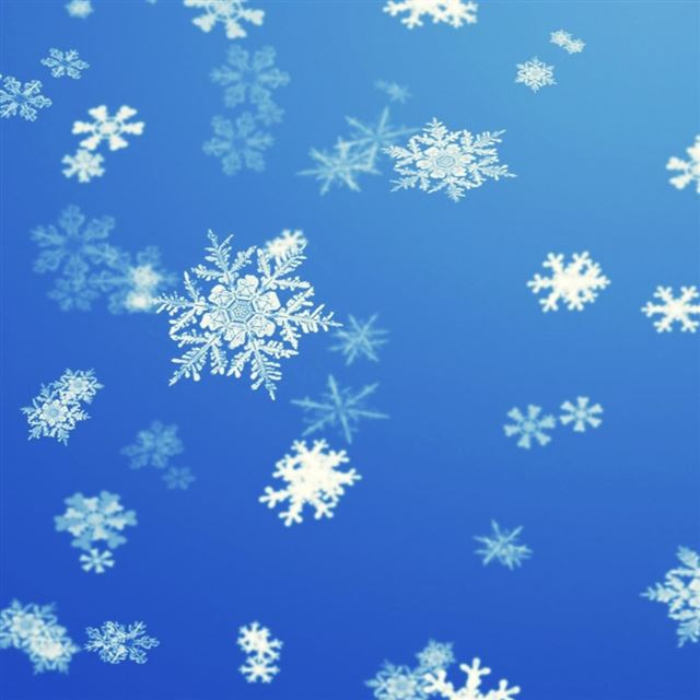 Snowflakes iPad wallpaper 