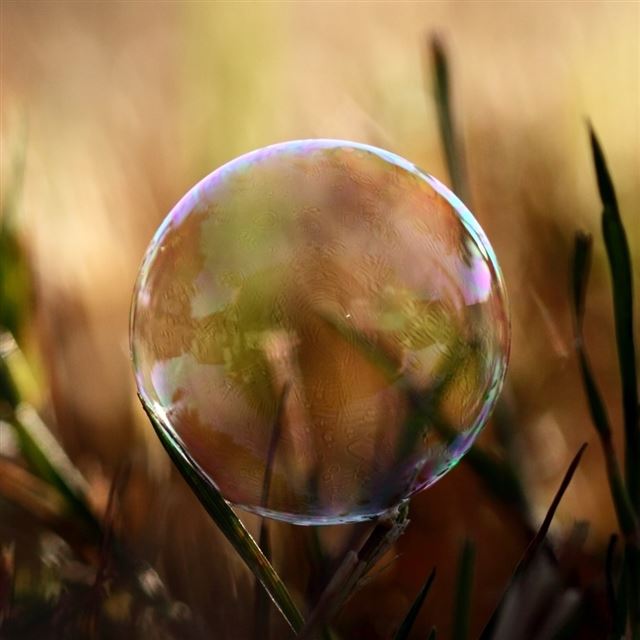 Soap Bubble On Grass iPad wallpaper 