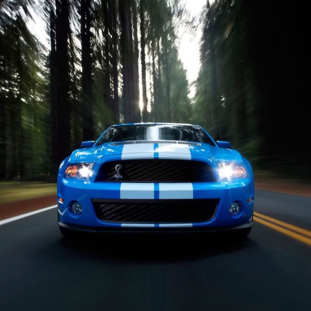 Ford Shelby Blue iPad wallpaper 
