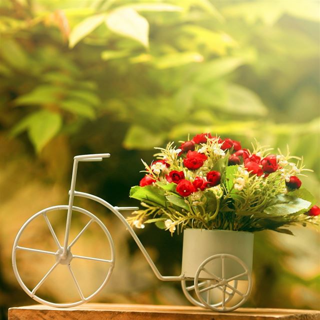 Bike Flowerpot iPad wallpaper 