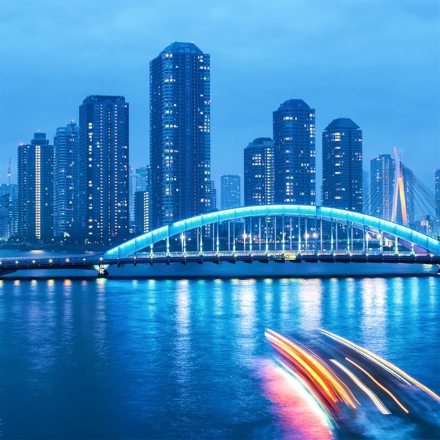Tokyo Night Bridge Landscape iPad wallpaper 