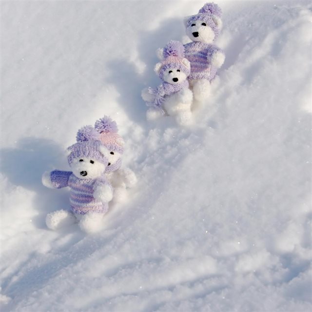 Teddy Bears Winter Break iPad wallpaper 
