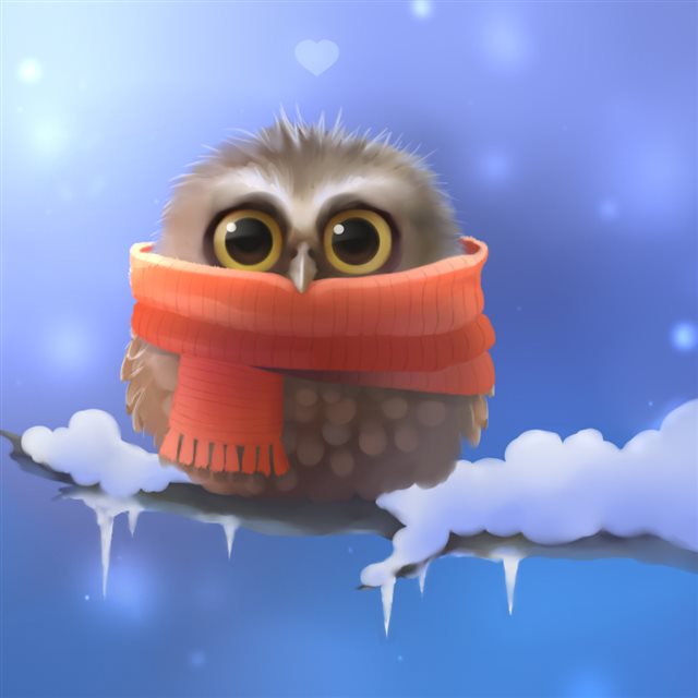 Cute Owl Graphic iPad wallpaper 