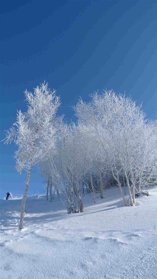 Nature Winter Snowy Field iPhone 8 wallpaper 