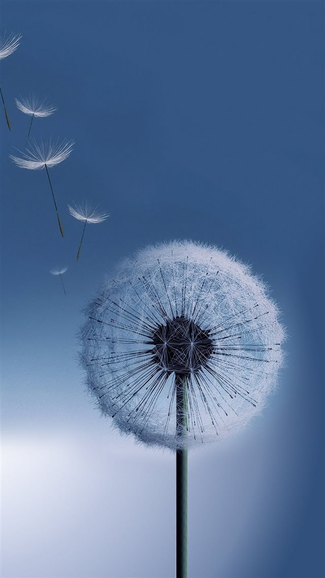 Flying Dandelion Macro iPhone 8 wallpaper 