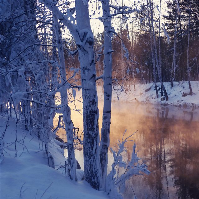Winter River Among The Trees iPad wallpaper 