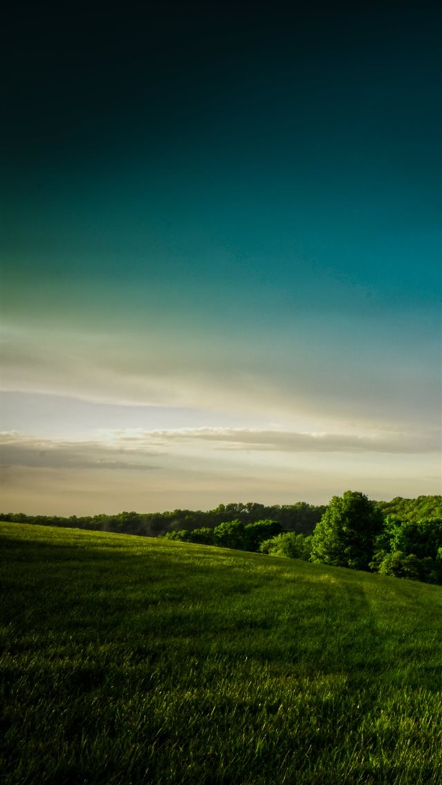 Hill Country Forest iPhone 8 wallpaper 