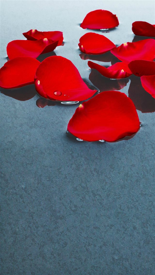 Flower Petal Art iPhone 8 wallpaper 