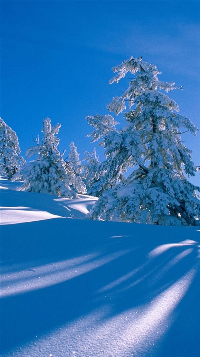 Pure Clear Snowy Fairy World iPhone 8 wallpaper 