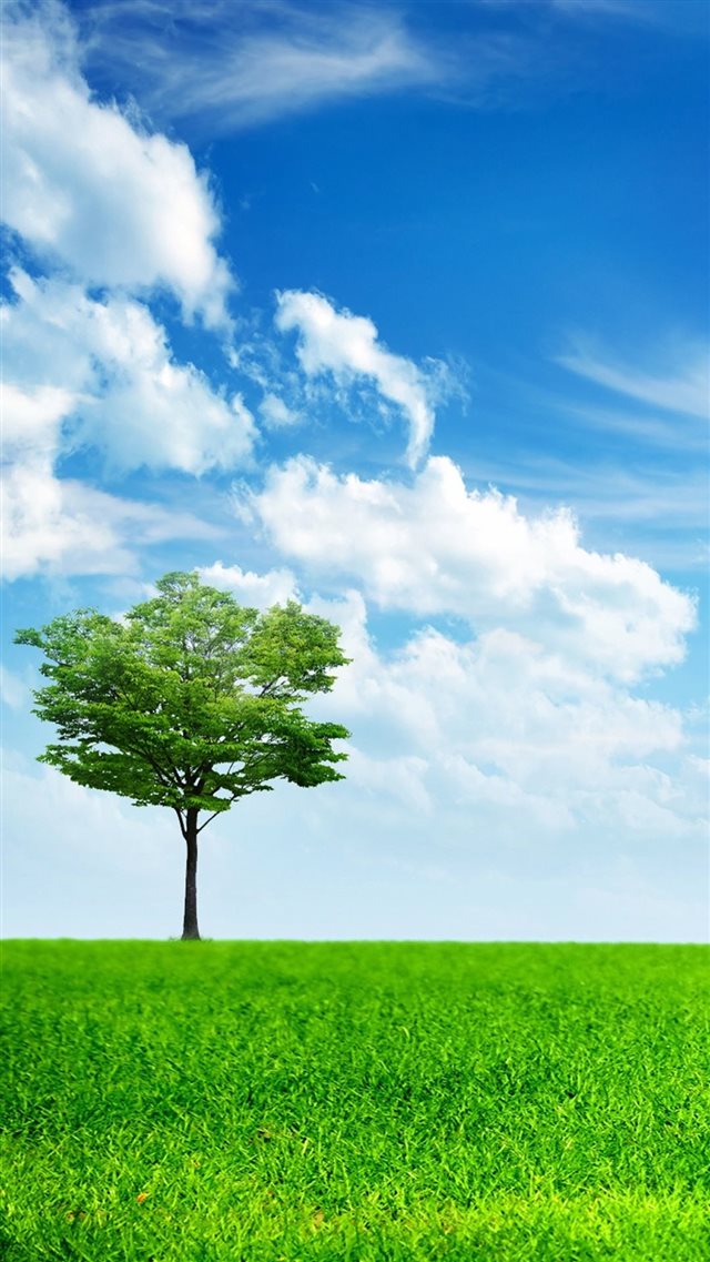 Lonely Tree In Endless Field iPhone 8 wallpaper 