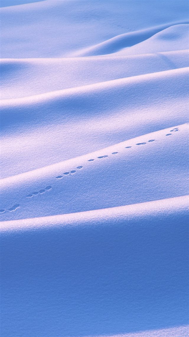 Footprint On Pure Snow Field iPhone 8 wallpaper 