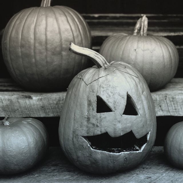Grayscale Halloween Pumpkin iPad wallpaper 