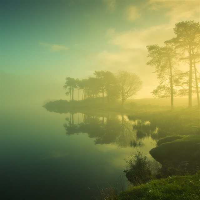 Morning Trees Reflection In Lake iPad wallpaper 
