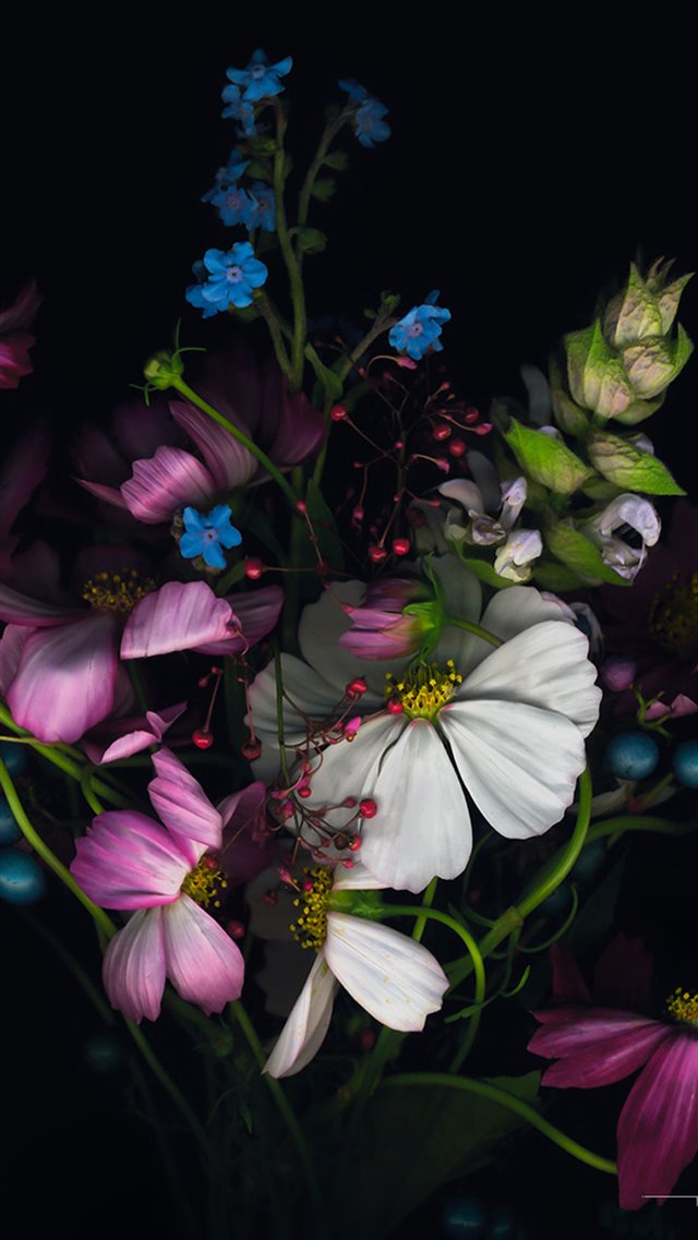Beautiful Flower Branch In Dark iPhone 8 wallpaper 
