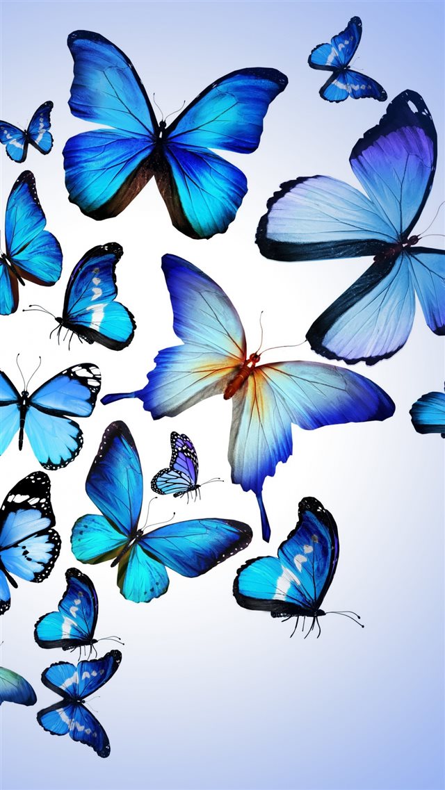 Butterfly Colorful Blue Drawing Art Beautiful iPhone 8 wallpaper 