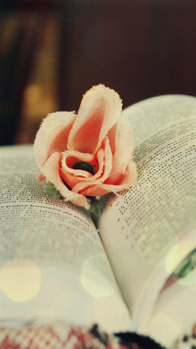 Cotton Rose On Book iPhone 8 wallpaper 