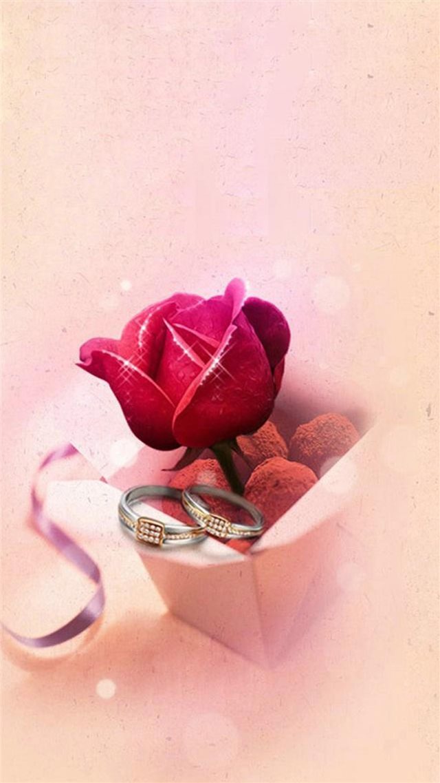  Eternal Love Ring Rose iPhone 8 wallpaper 