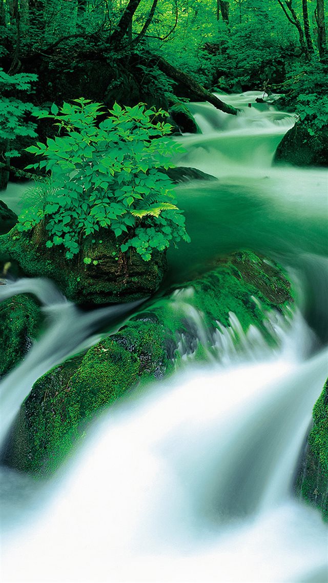 Jungle Waterfall Landscape iPhone 8 wallpaper 