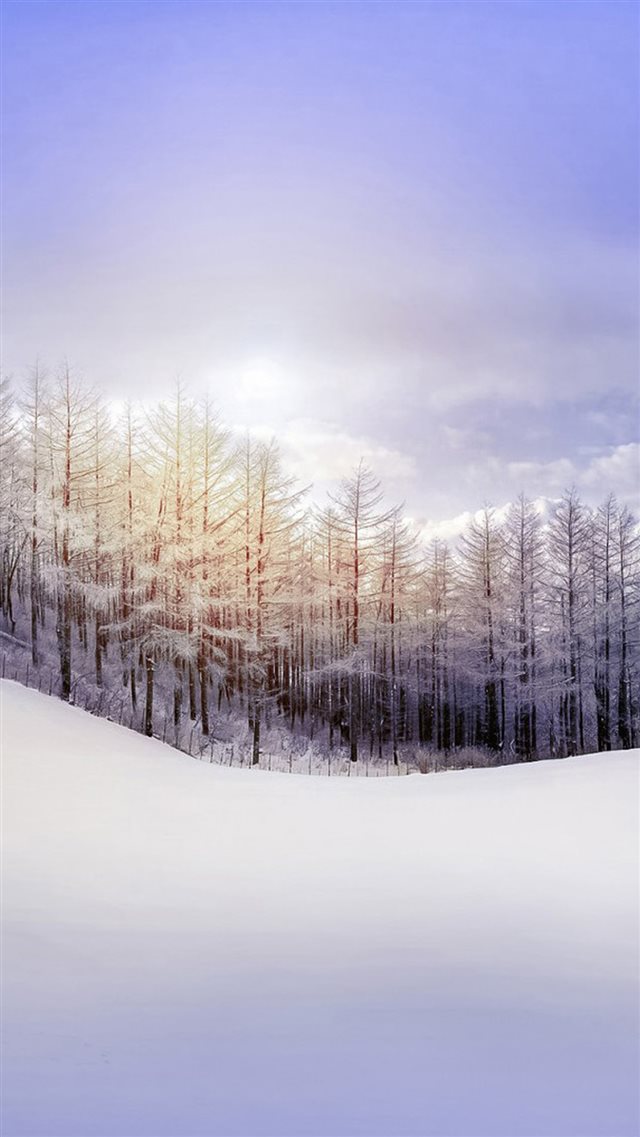 Nature Pure Snowy Forest iPhone 8 wallpaper 