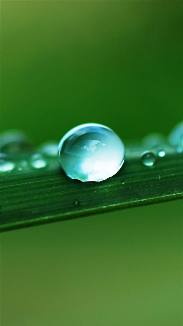 Water Drop Macro Leaf iPhone 8 wallpaper 