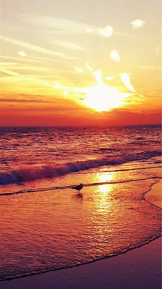 Nature Sunset Beach Landscape iPhone 8 wallpaper 