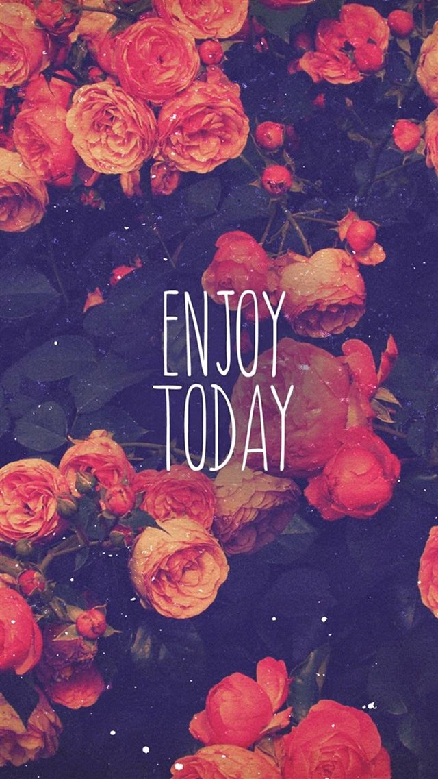 Enjoy Today Red Roses iPhone 8 wallpaper 