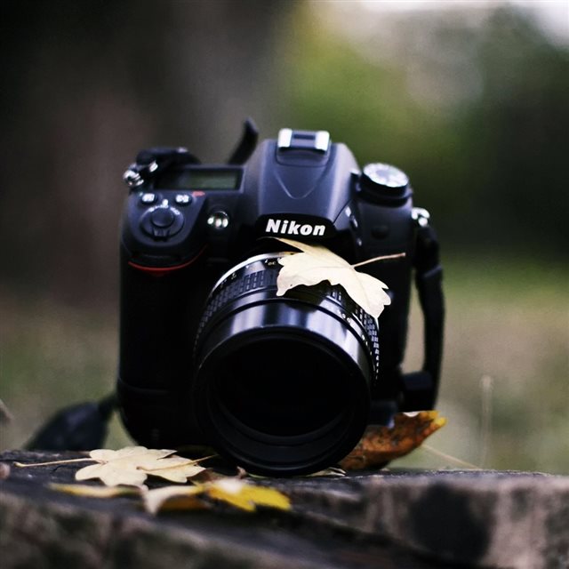 Nikon Camera Autumn iPad wallpaper 