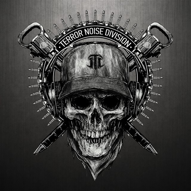 Terror Noise Division Skull Logo iPad wallpaper 