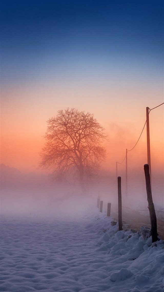 Winter Scene Fog Glow iPhone 8 wallpaper 