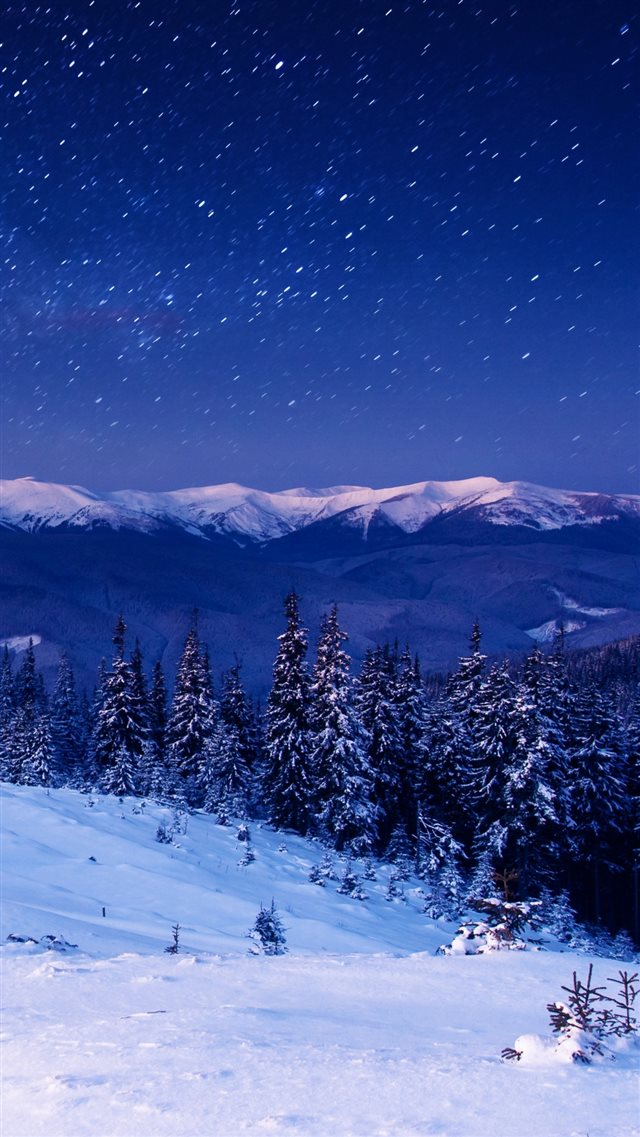 Star Forest Night Home Mountains Trees iPhone 8 wallpaper 