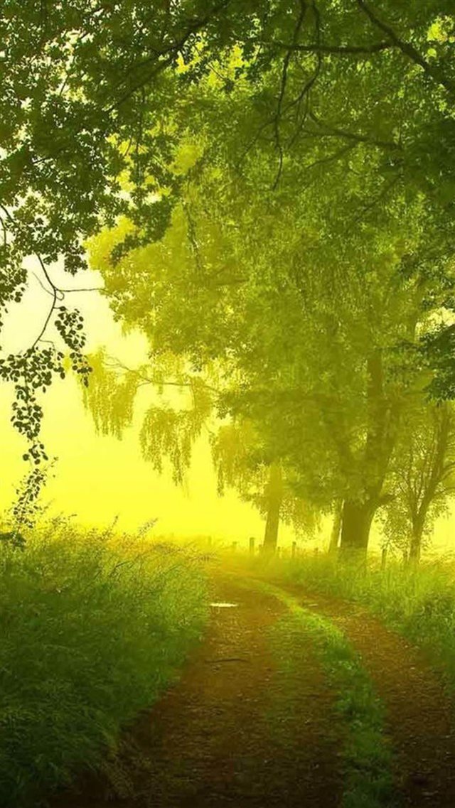 Nature Country Morning Path iPhone 8 wallpaper 