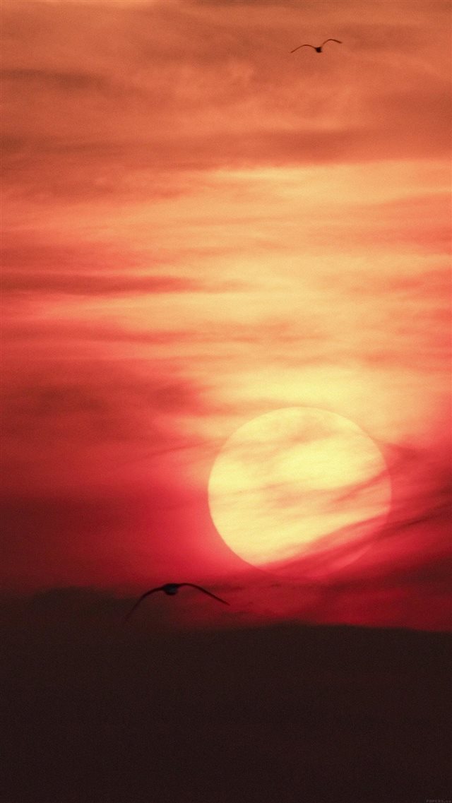 Artistic Red Sunset Desert iPhone 8 wallpaper 