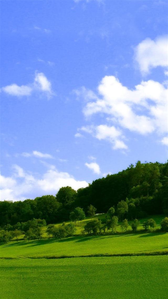 Nature Green Woodland And Blue Sky iPhone 8 wallpaper 