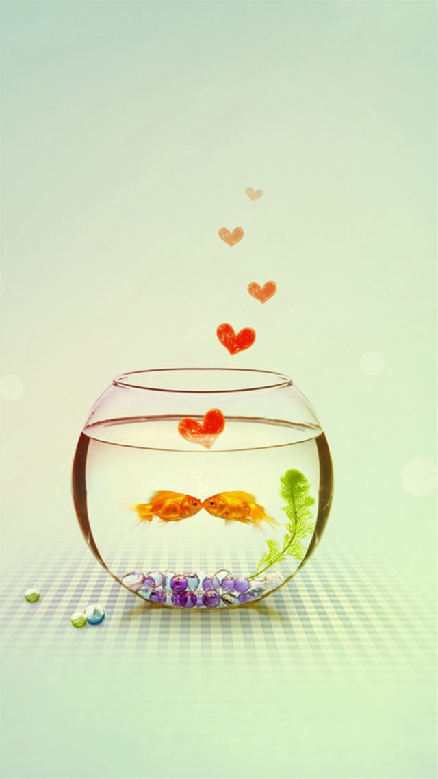 Kissing Love Fish Couple In Aquarium iPhone 8 wallpaper 