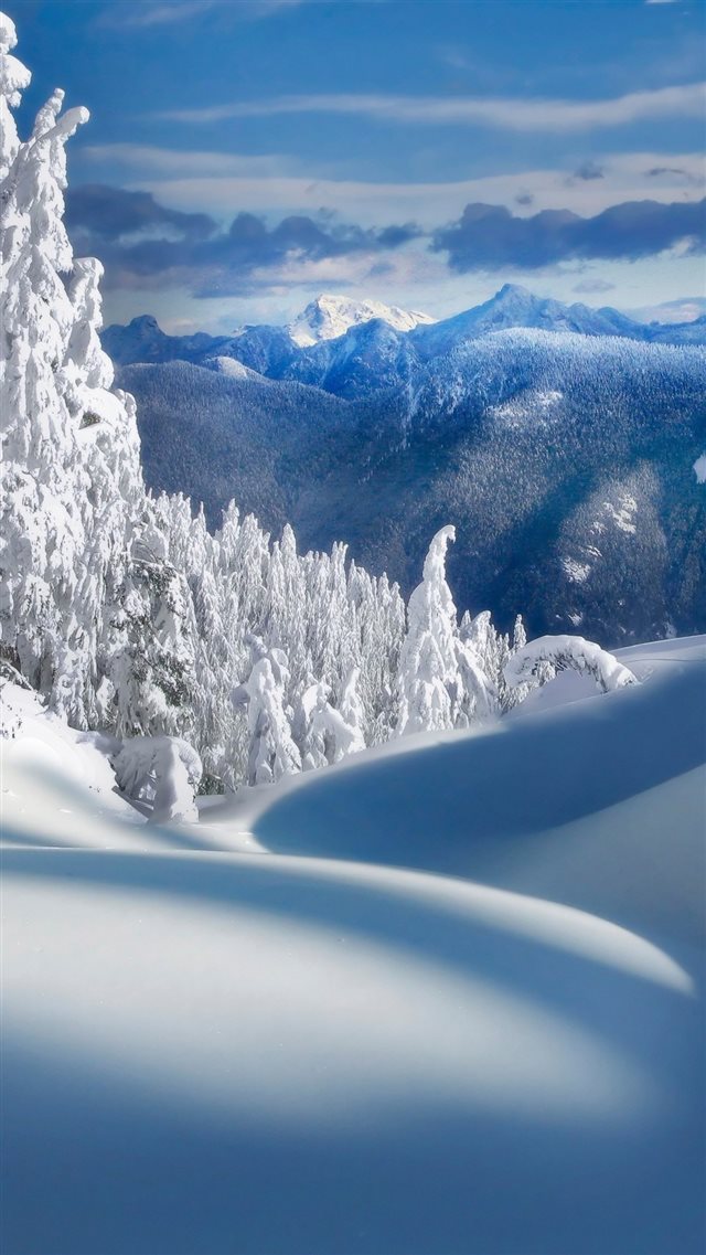 Fairy Snow Forest Field iPhone 8 wallpaper 