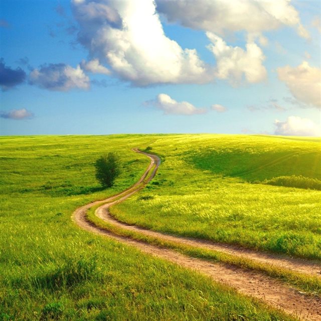Nature Meadow Trail iPad Wallpapers Free Download