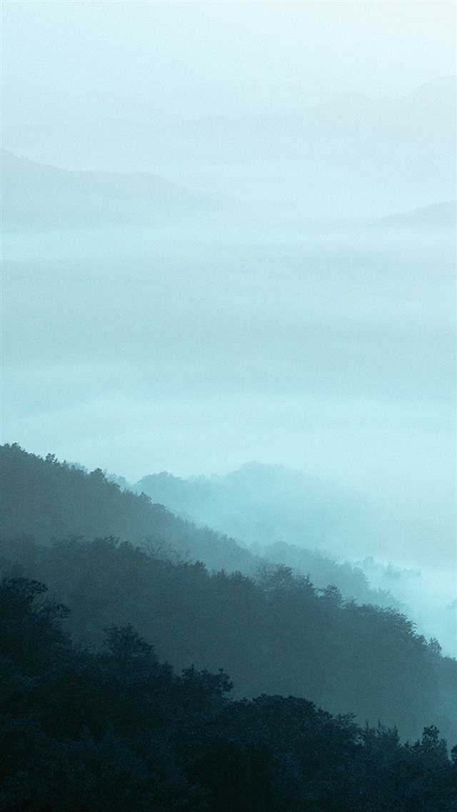 Mountain Fog Green Nature iPhone 8 wallpaper 
