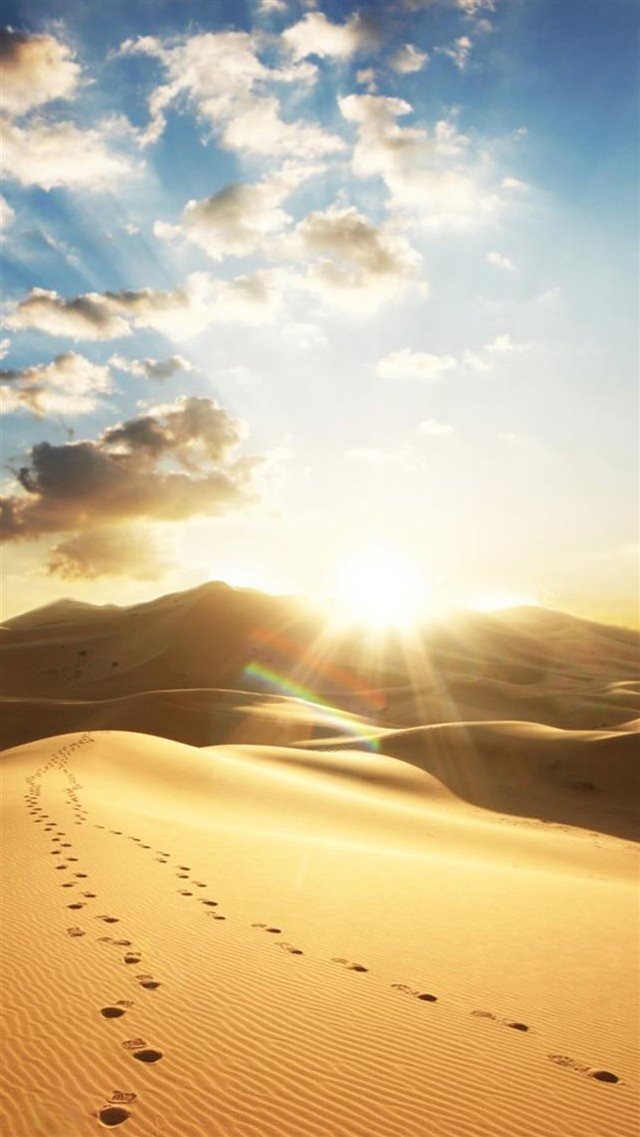 Nature Dry Golden Desert Strong Sunshine iPhone 8 wallpaper 