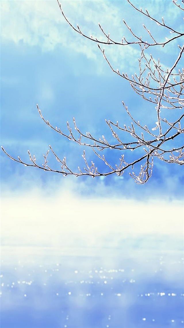 Nature Winter Clear Sunny Snowy Tree Branch Skyscape iPhone 8 wallpaper 