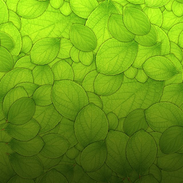 Pure Green Leaf Texture Pattern Background iPad wallpaper 