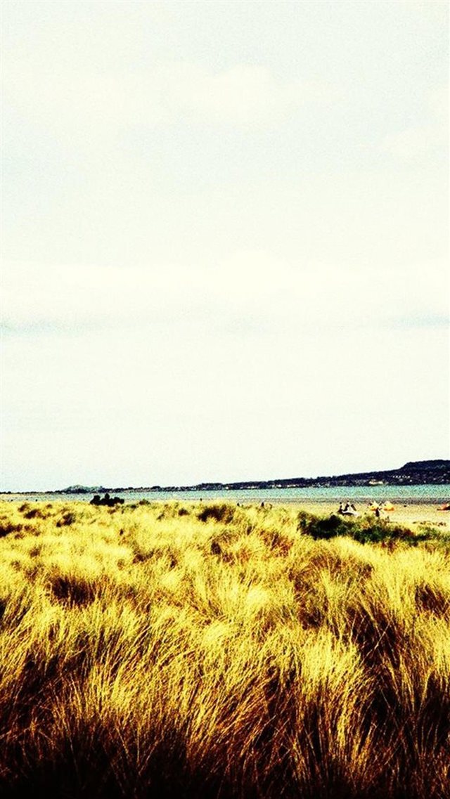 Nature Vast Desolate Grass Field iPhone 8 wallpaper 