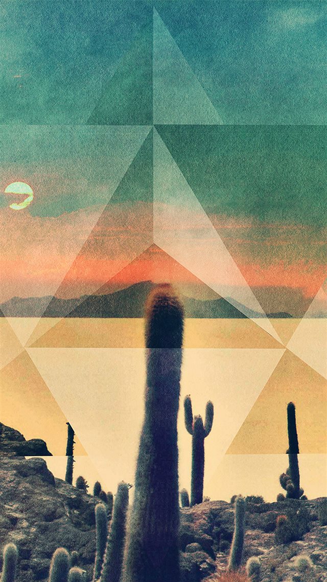 Desert Drought Cactus Rhombus Cover Art iPhone 8 wallpaper 