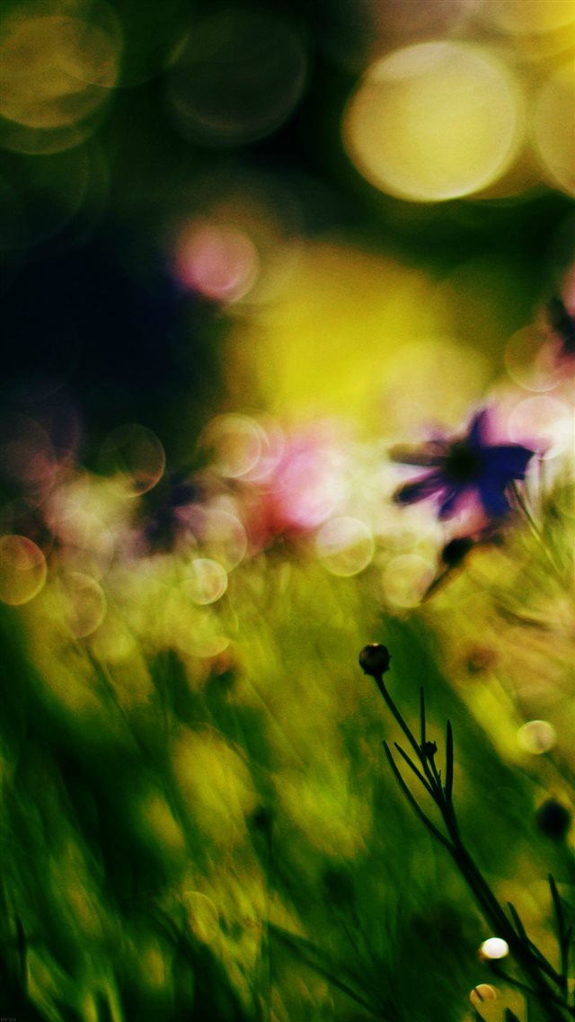 Nature Flower Bokeh Spring Days Dark iPhone 8 wallpaper 