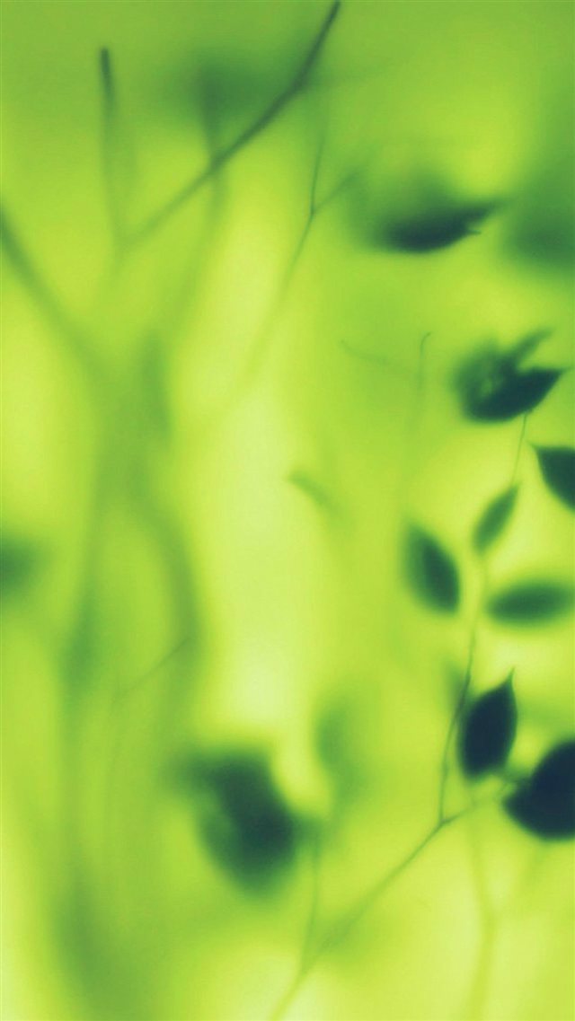 Bokeh Window Leaf Green Pattern iPhone 8 wallpaper 