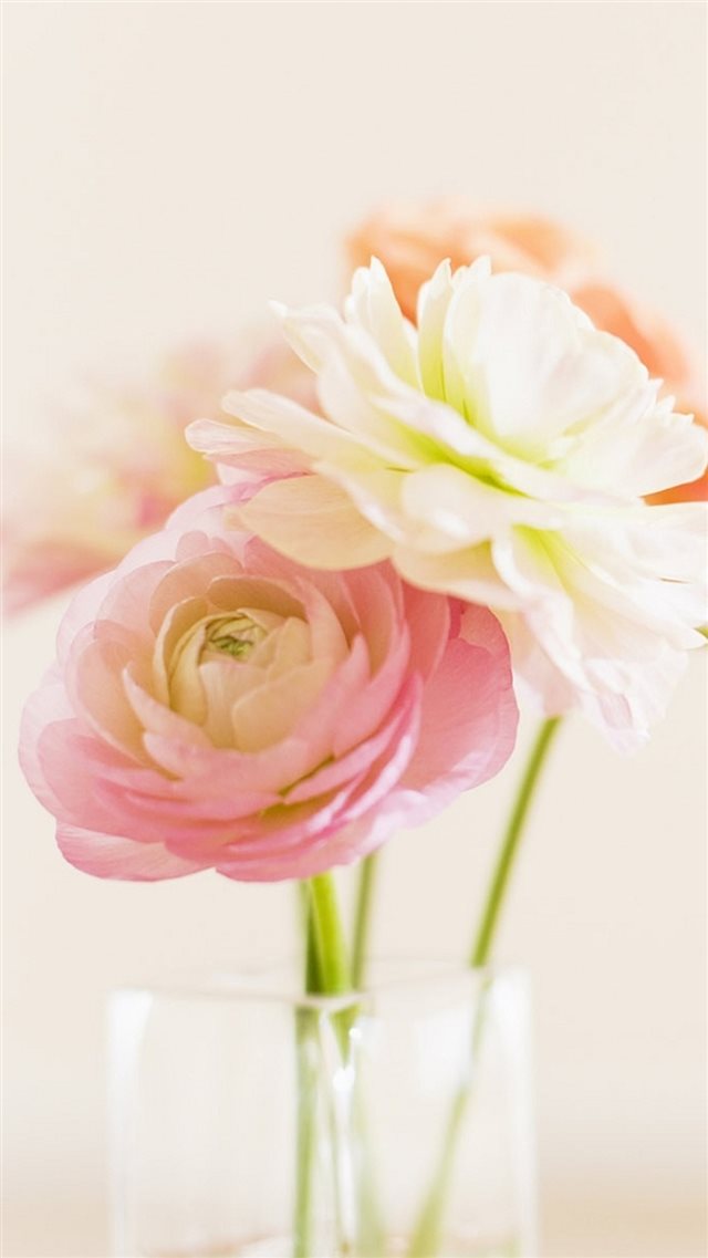 Elegant Beautiful Bloom Glass Vase iPhone 8 wallpaper 