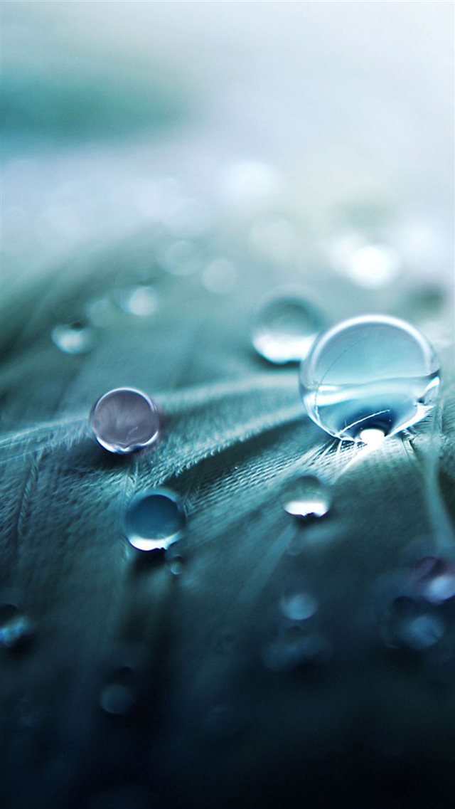 Pure Simple Dew Droplet On Leaf iPhone 8 wallpaper 