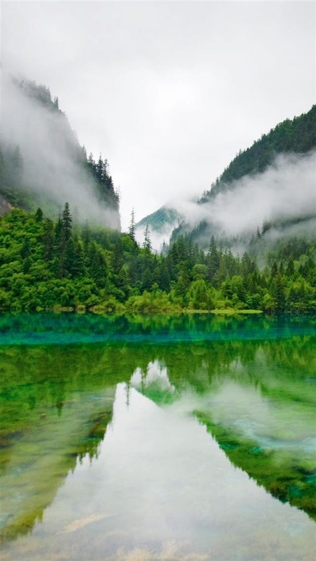 Nature Foggy Mountains Calm Lake Forest iPhone 8 wallpaper 